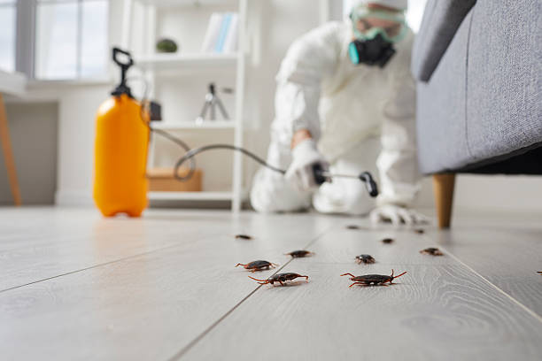 Post-Treatment Bed Bug Interceptor Monitoring in Ashland